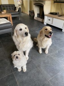 sammie sally saartje 1