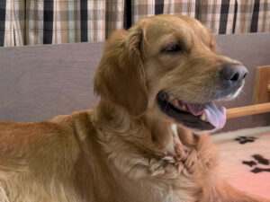 Over Ons rosie marie